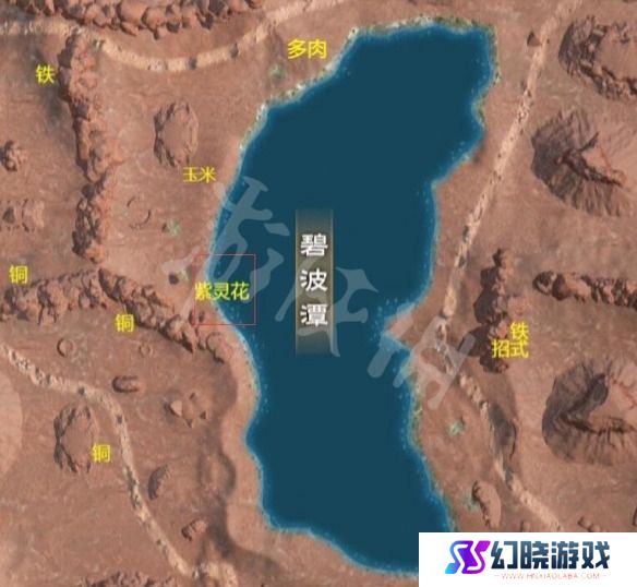 太荒初境紫灵花哪里采集 太荒初境紫灵花分布图(怎么获得)