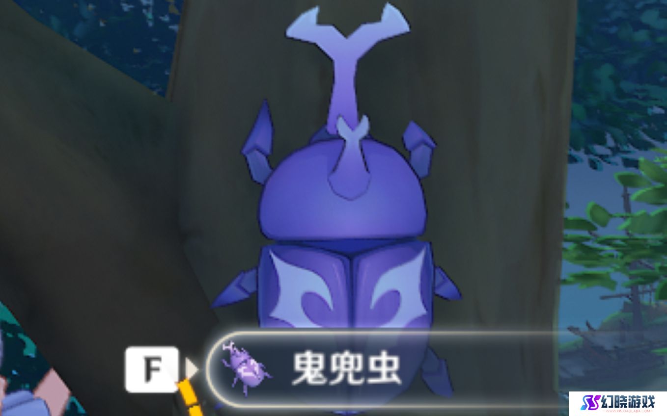 鬼兜虫在哪采集 原神鬼兜虫采集点一览