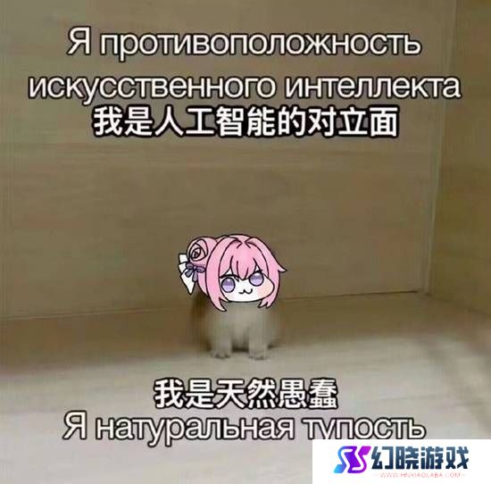 本站